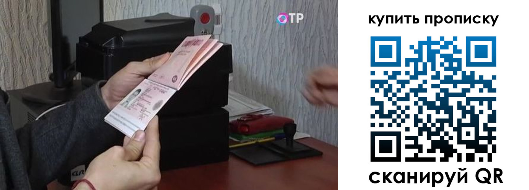 прописка гарантия в Тульской области
